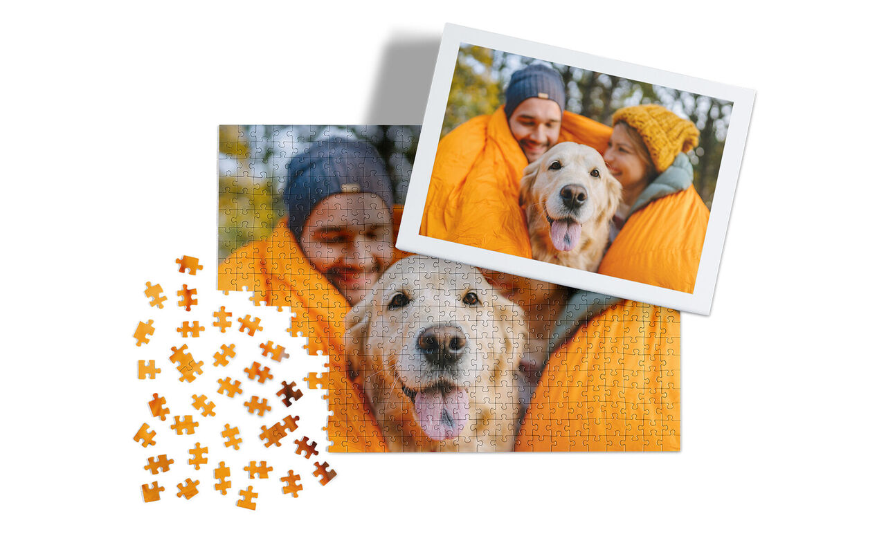 Deux chiens heureux sur une couverture orange, entourés de pièces de puzzle